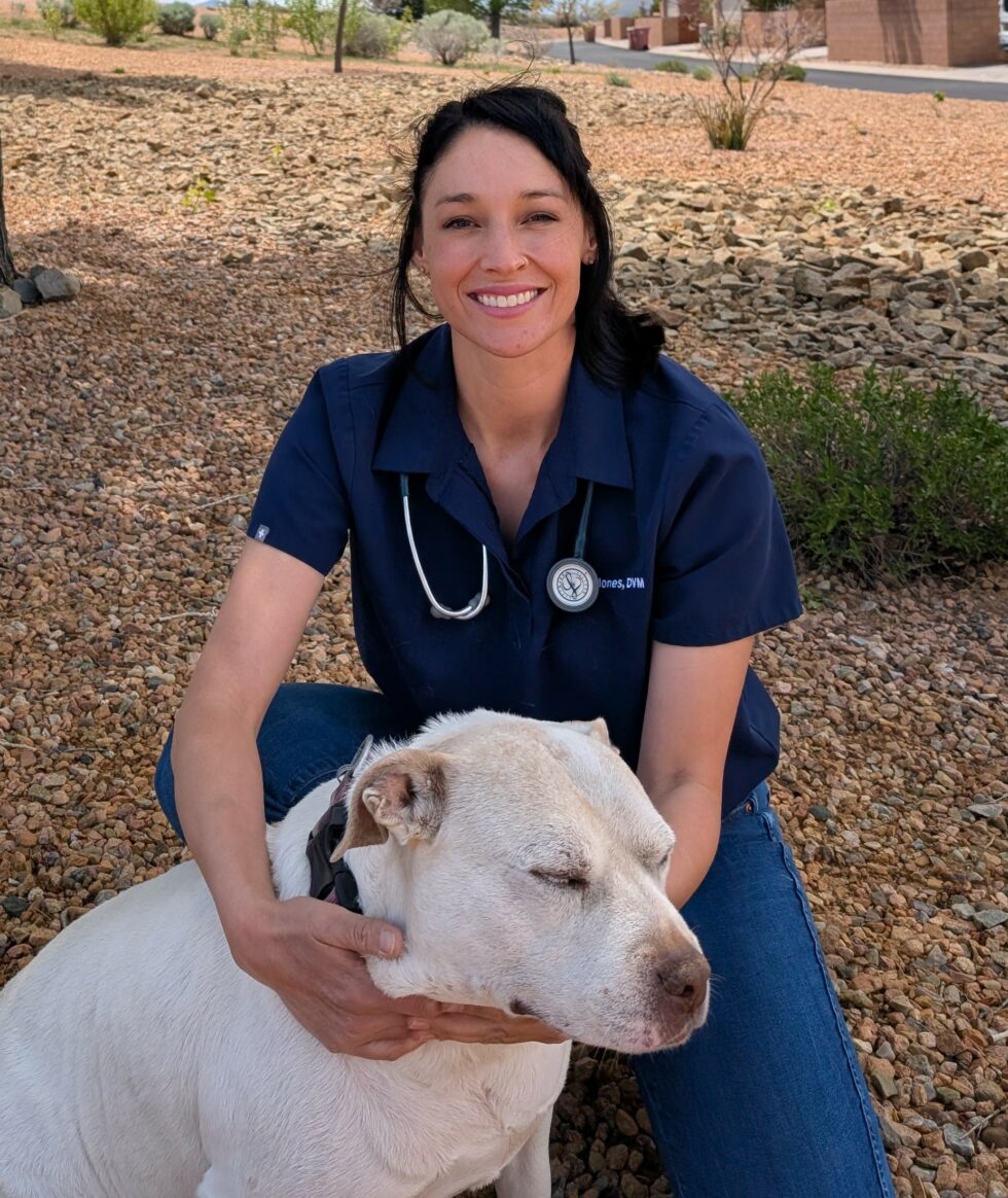 Santapi Animal Staff | Santa Fe Animal Hospital